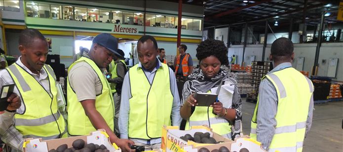 Building a stronger African food security and trade network